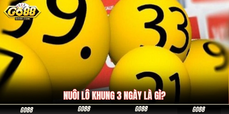 Nuôi Lô Khung 3 Ngày - Bí Quyết Bắt Số Chuẩn Từ Cao Thủ Go88 1 Nuôi lô khung 3 ngày nghĩa là gì?